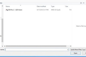 How to load Presets into DSI Pro 2 Step2