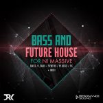 future house and bass house patches for NI Massive