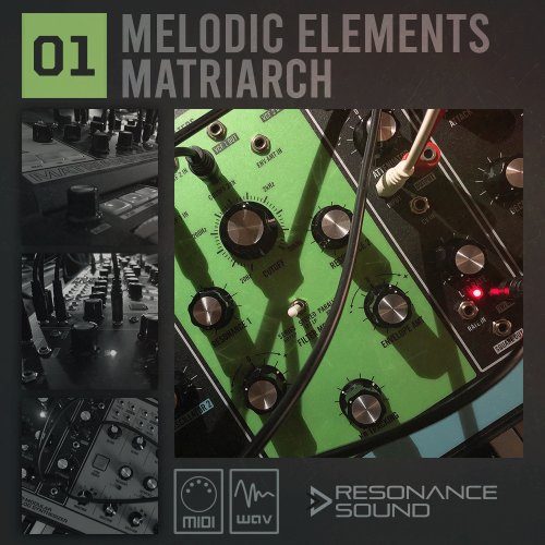 analog sequences from moog matriarch synthesizer